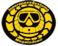 ��� �������� InnerSpace Systems Corp. (ISC)