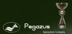 ��� �������� Przedsiebiorstwo Uslug Specjalistycznych ''PEGAZUS''