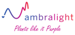 ��� �������� Ambralight