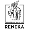 ��� �������� Reneka International