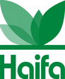 ��� �������� Haifa North West Europe