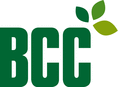 ��� �������� BCC AB