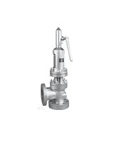 Gas safety valve flangecryogenicstandard