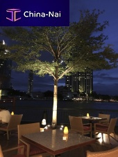IP65 floodlight UTAH LEDgardenfor public space