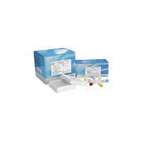 Cervical cancer test kit 340010 oncologyHPV