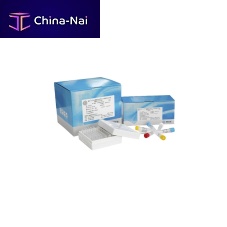 Cervical cancer test kit 340010 oncologyHPV