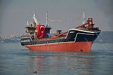 Bulk carrier cargo ship HELENE H 2