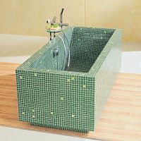 Bathtub with legs 073601001for homescontemporarydeep