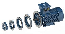Flameproof motor ACasynchronousmodular