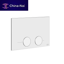 Double toilet flush plate 54617home