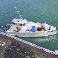 Outboard day fishing boat Amars REVERSE 800 Caseyeurtwin-enginewheelhousemulti-use