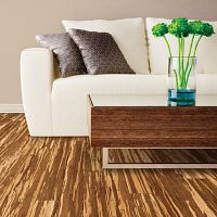 Engineered parquet floor EXPRESSIONS SMOOTH : TIGERbamboomatte finishfloating