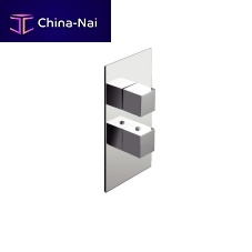 Shower mixer tap Thermostaticbuilt-inthermostaticbrass