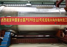 Reactor pressure vessel RVI