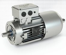 Synchronous motor AC220 VIP55