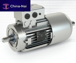 Synchronous motor AC220 VIP55