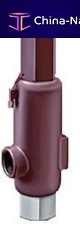 Plug safety valve 2700