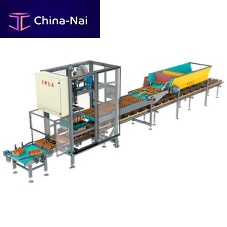 Automatic packaging machine vacuumfor cardboard boxesfor the food industry