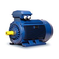IP55 motor MF seriesthree-phaseasynchronous400 V