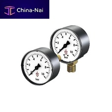 Analog pressure gauge dialthreadedstainless steel