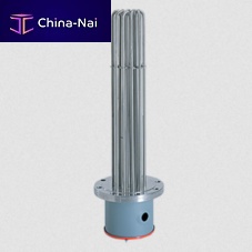 Flange immersion heater