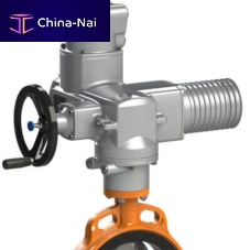 Electric valve actuator multi-turnlow-noise level