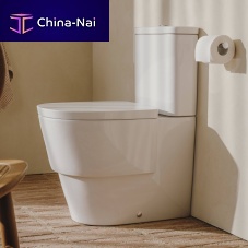 Free-standing toilet TURAceramicrimlesshome