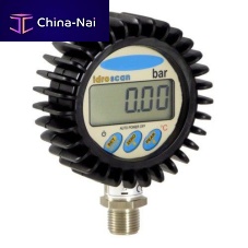 Digital pressure gauge SM-IDROSCANthreadedpanel-mountstainless steel