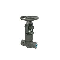 Gate valve with handwheelstopthreaded