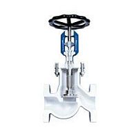 Globe valve manualregulatingfor toxic fluids