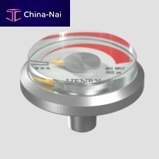 Dial pressure indicator G20for gas