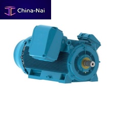 Synchronous motor Y2PTIP55IP54IP66