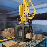 Robotic palletizer layergantryhandling