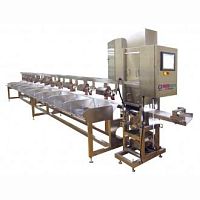 Sorting machine for the food industry automatic
