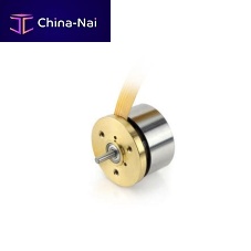 Medical industry motor DF20brushlessDC