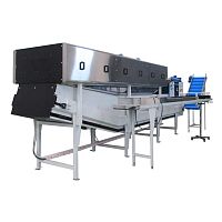 Fruit processing line Compact-T410