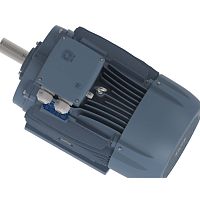 Three-phase motor DELPHI 160-355asynchronousIP55IP65