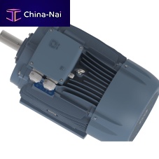 Three-phase motor DELPHI 160-355asynchronousIP55IP65