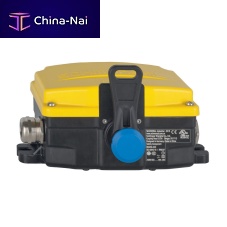 Pull wire switch RS655 series2-polerobustIP66