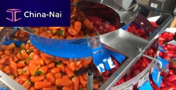 Multihead weigher linearvegetablewith central feed