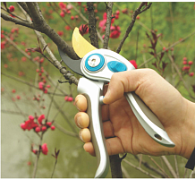 ���������� ��� ���� � ������� Shanghai Worth Garden Products Co.,Ltd.