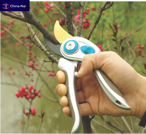 											���������� ��� ���� � ������� Shanghai Worth Garden Products Co.,Ltd.