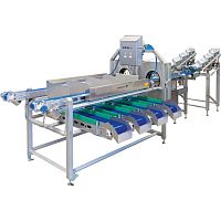 Sorting machine for the food industry InLine keen eye®opticalcolorautomatic