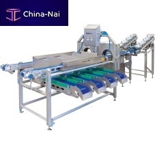 Sorting machine for the food industry InLine keen eye®opticalcolorautomatic