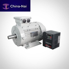 Three-phase motor WST seriessynchronous400 VIP55