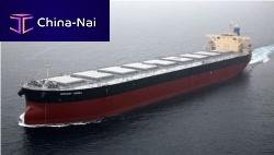 Bulk carrier cargo ship Capesize