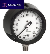 Absolute pressure gauge SOLFRUNT 1981analogthreadedstainless steel