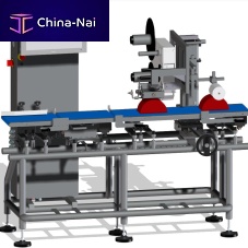 Automatic weighing-labeling machine price computing