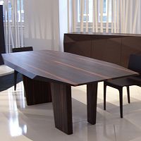 Contemporary dining table BLADEoakMacassar ebonyrectangular