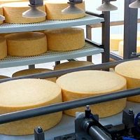 Automated loading system for the food industrylinear